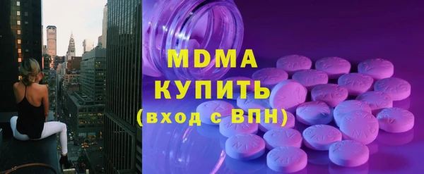 индика Михайловск