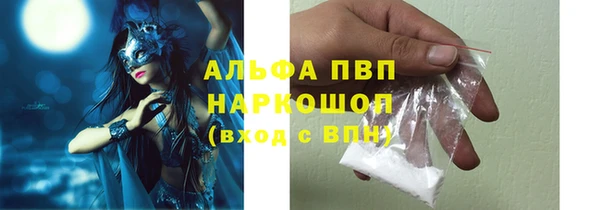 индика Михайловск