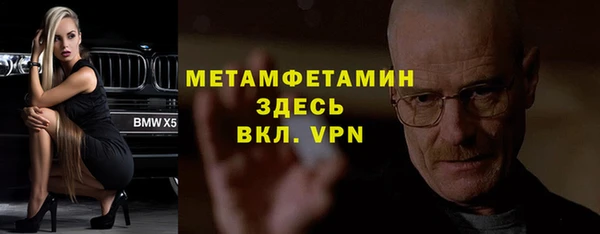 индика Михайловск
