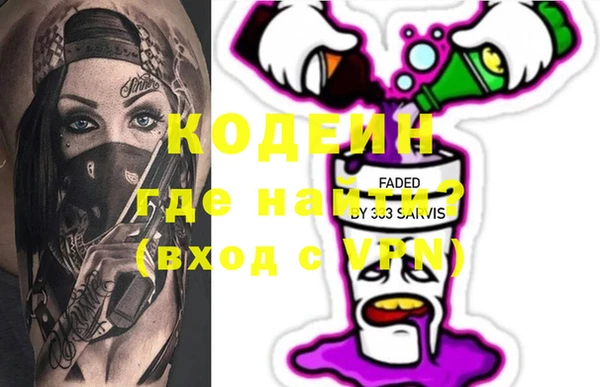 индика Михайловск