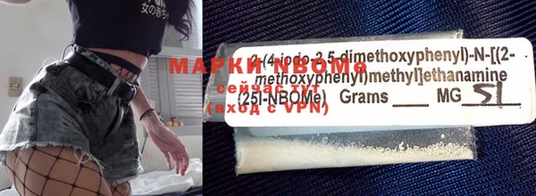 индика Михайловск