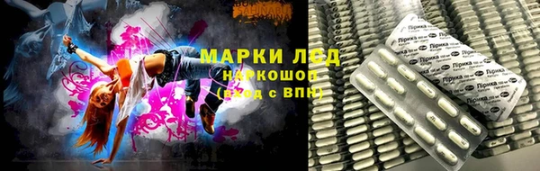 индика Михайловск