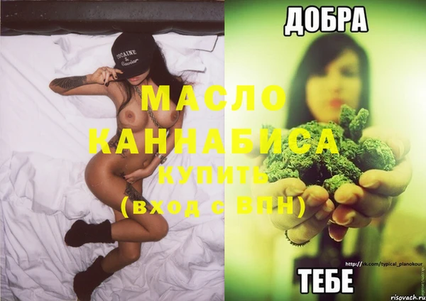 индика Михайловск