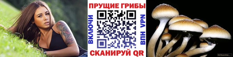Псилоцибиновые грибы MAGIC MUSHROOMS  Рыбинск 