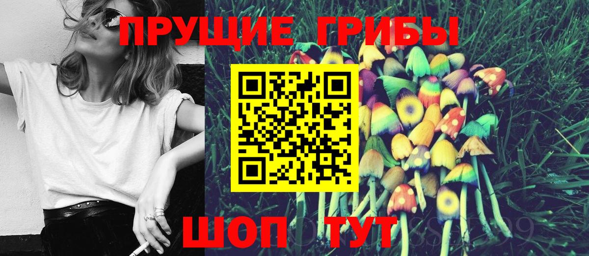 Псилоцибиновые грибы Psilocybe  Вход с VPN  Псилоцибиновые грибы ЛСД  Рыбинск 